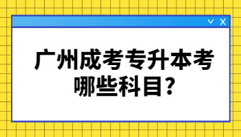 廣州成考專升本考哪些科目
