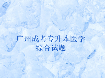 廣州成考專升本醫(yī)學綜合